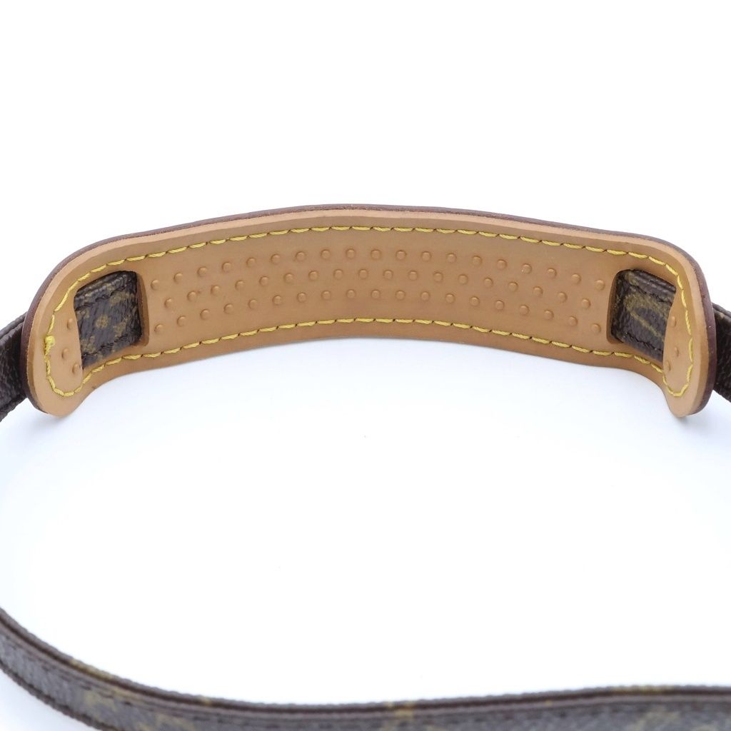 Louis Vuitton Monogram Amazon Shoulder Bag Leather Brown — view 6