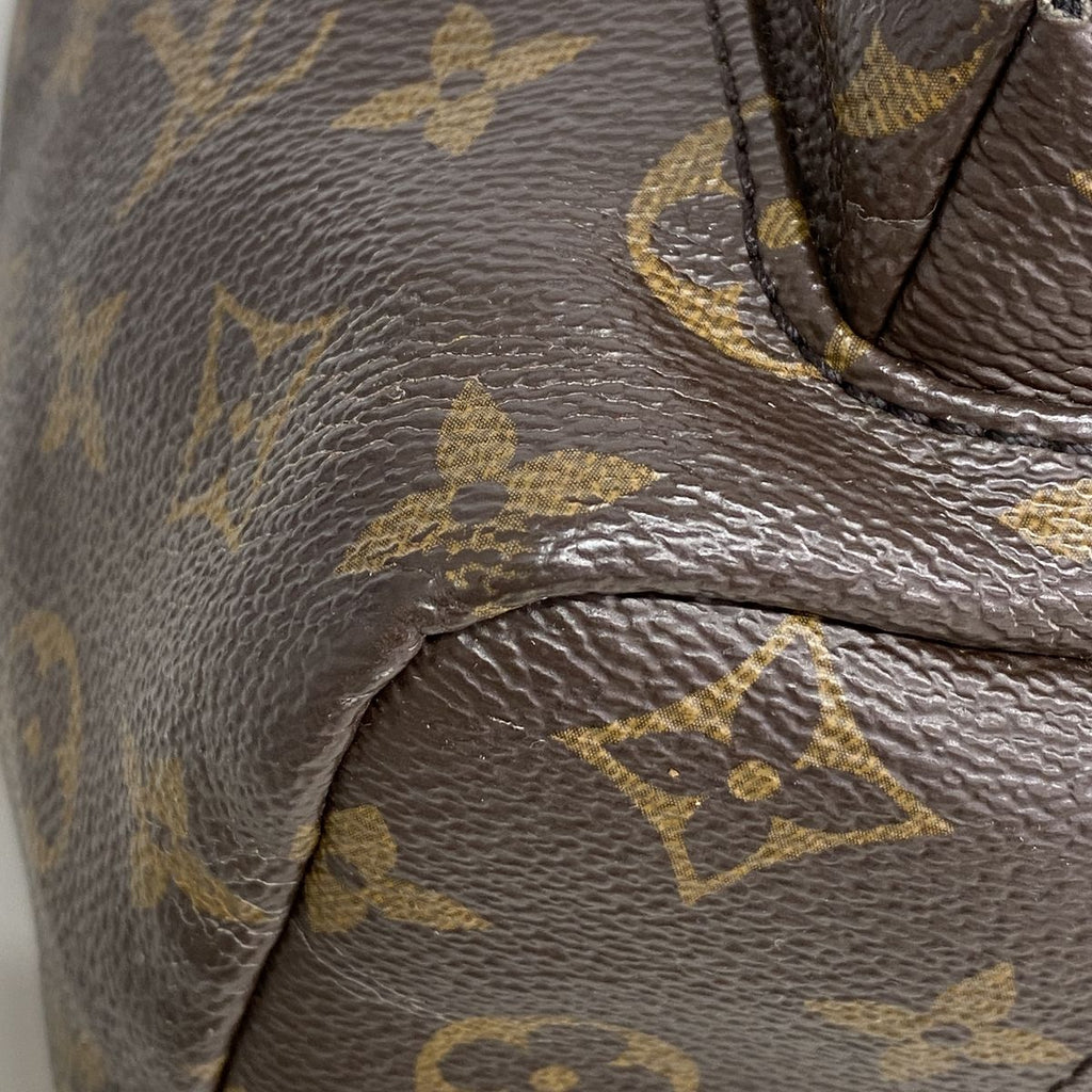 Louis Vuitton Backpack Monogram Palm Springs PM Brown — view 7