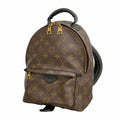 Louis Vuitton Backpack Monogram Palm Springs PM Brown