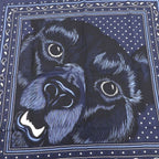 Hermes Carre H 65 Grrrrr Scarf — view 5