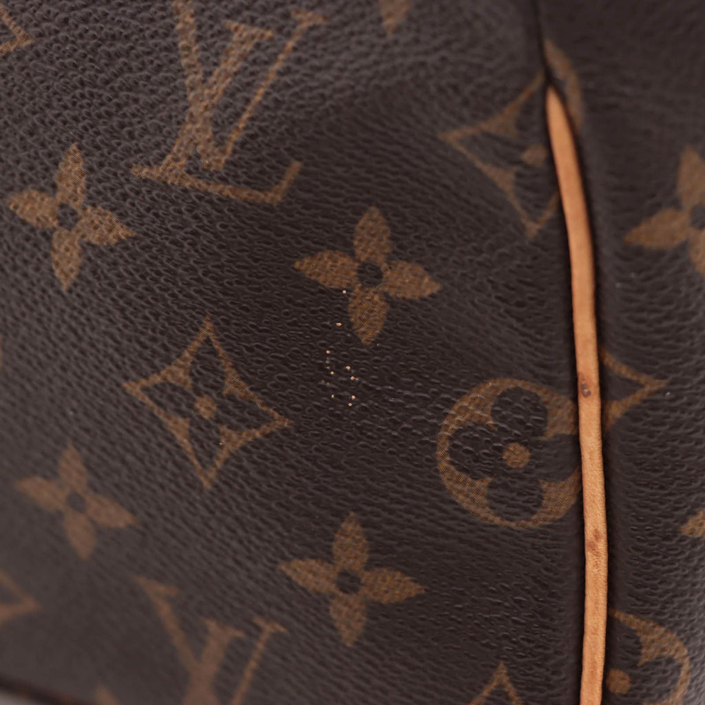 Louis Vuitton Viva-Cite PM Monogram Shoulder Bag Canvas — view 8