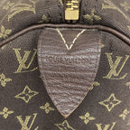 Louis Vuitton Handbag Monogram Mini Lin Speedy 30 Ebene — view 5