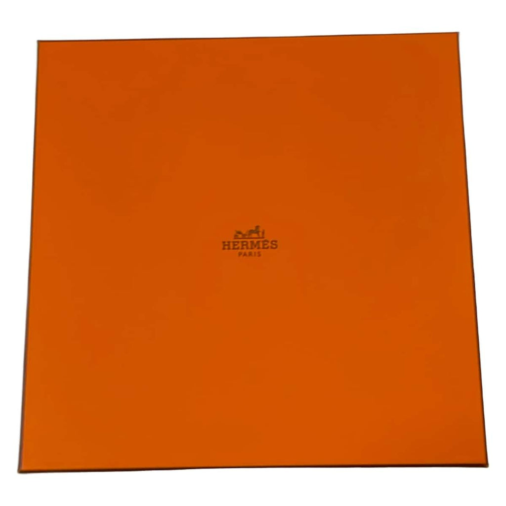 Hermes Scarf Carre 90 Black Brown Yellow — view 5