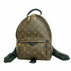 Louis Vuitton Backpack Monogram Palm Springs PM Brown