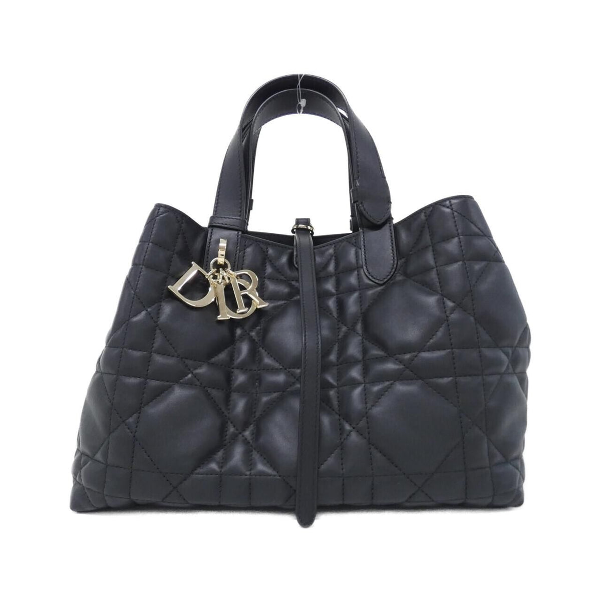 Dior Toujours Medium Bag