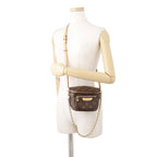 Louis Vuitton Shoulder Bag Monogram Mini — view 5