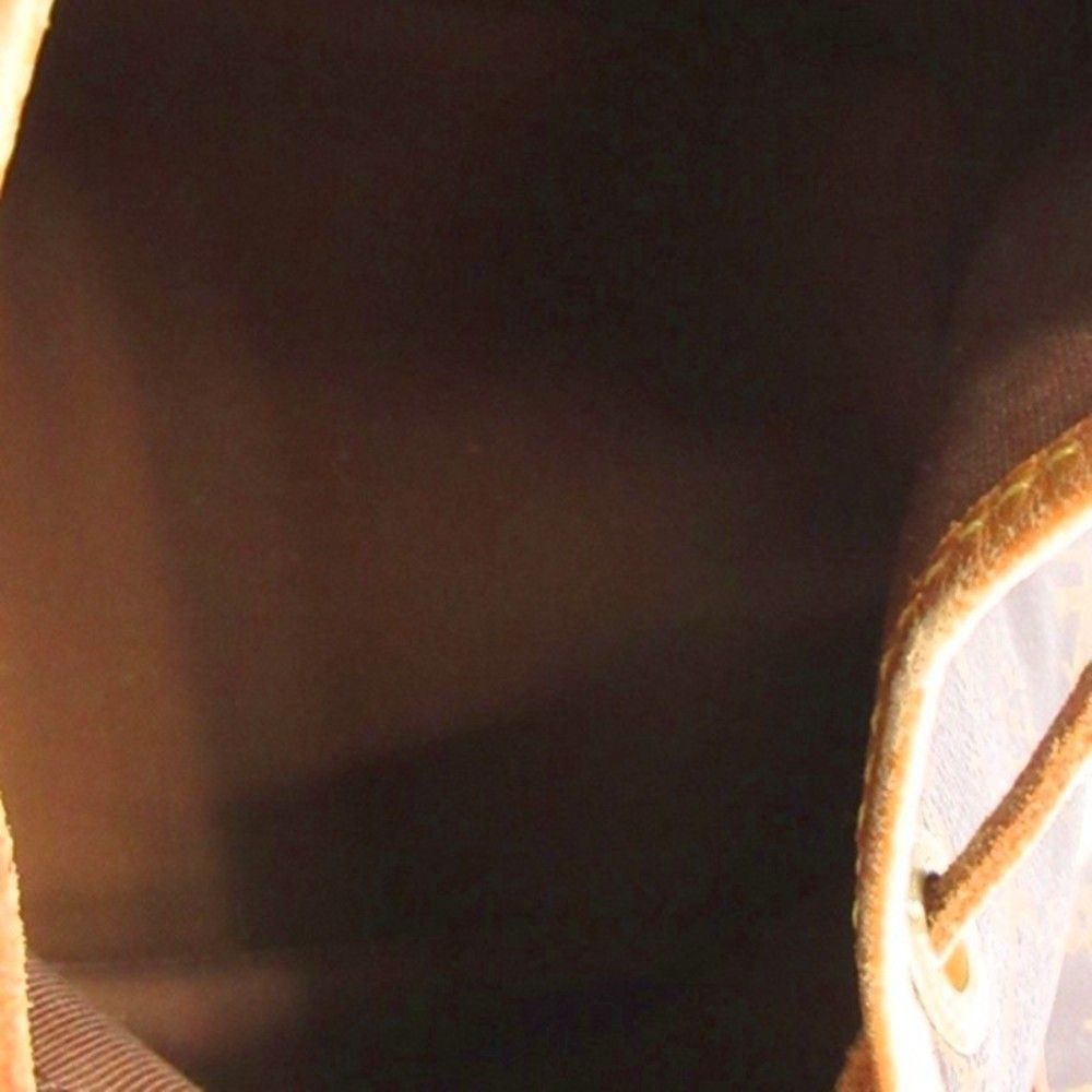 Louis Vuitton Monogram Noe Shoulder Bag Brown — view 7