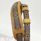Louis Vuitton Shoulder Bag Monogram Mini Amazone Brown — view 8