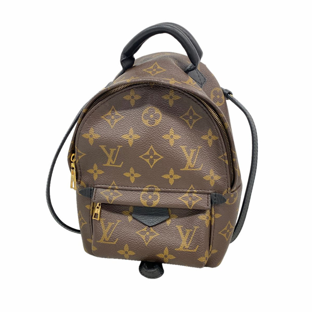 Louis Vuitton Backpack Monogram Palm Springs Mini Brown