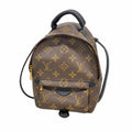 Louis Vuitton Backpack Monogram Palm Springs Mini Brown
