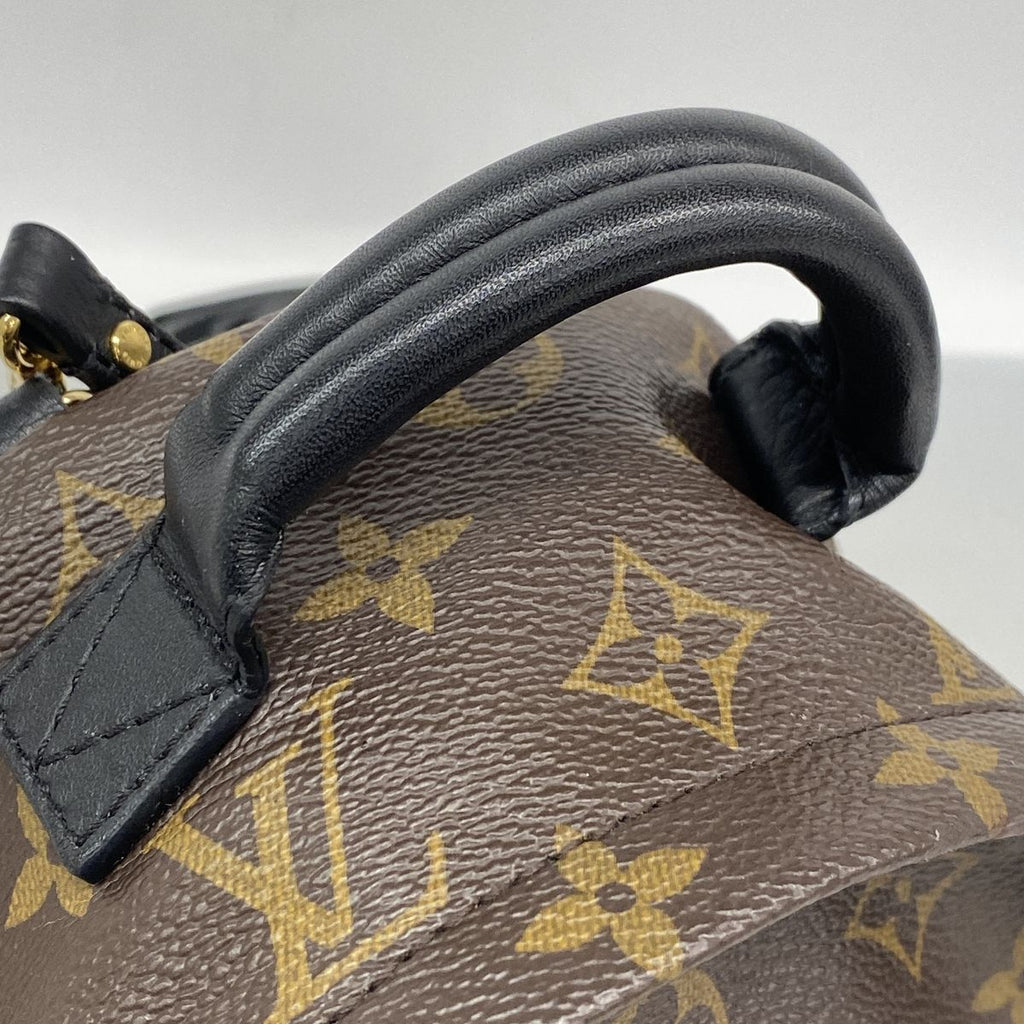 Louis Vuitton Backpack Monogram Palm Springs Mini Brown — view 7