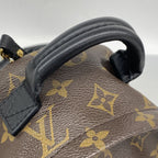 Louis Vuitton Backpack Monogram Palm Springs Mini Brown — view 7