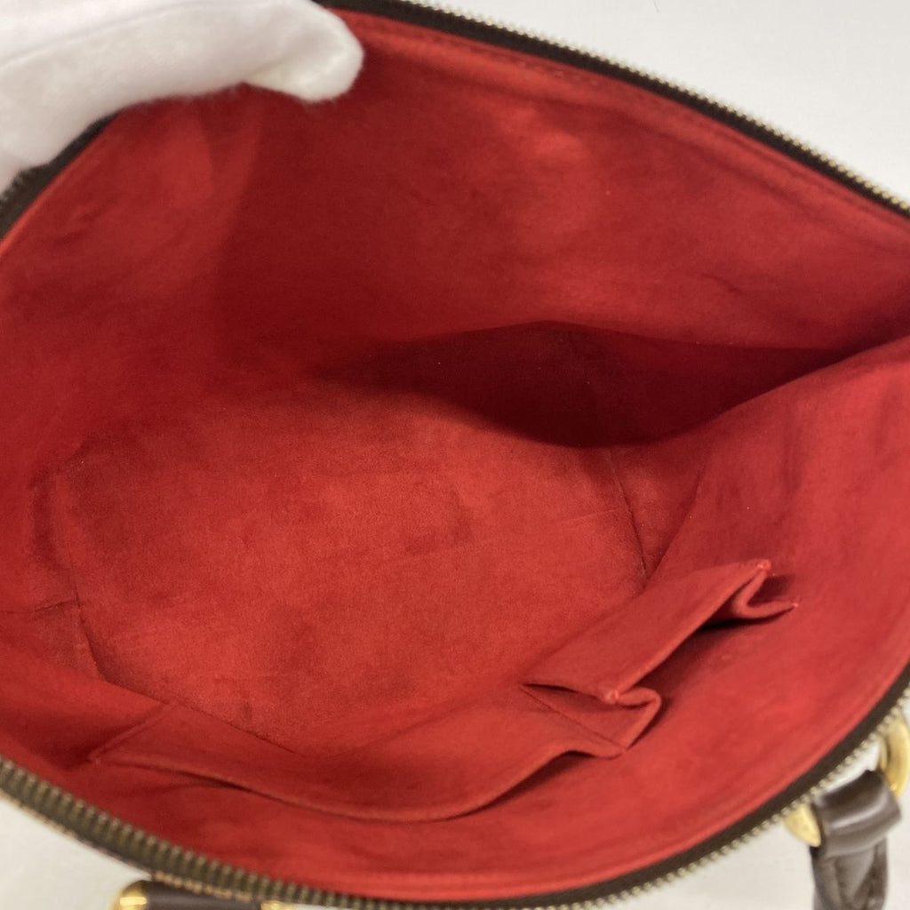 Louis Vuitton Handbag Damier Saleya PM Ebene — view 4