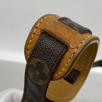 Louis Vuitton Shoulder Bag Monogram Nile Brown — view 8