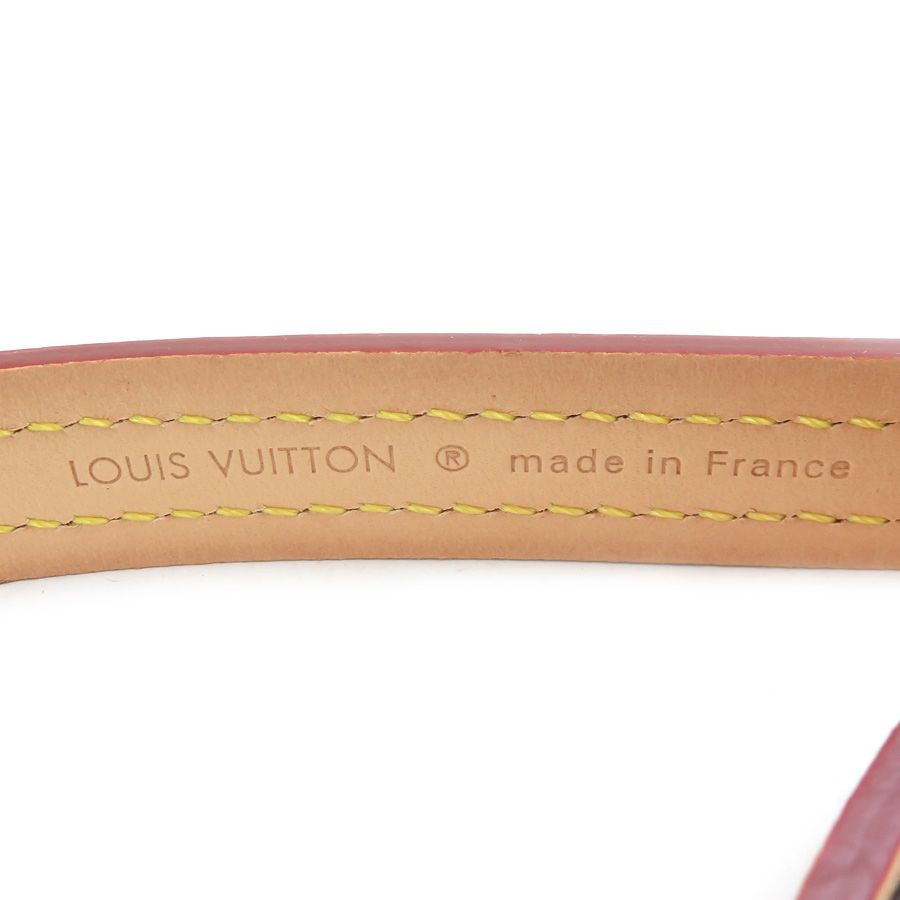 Louis Vuitton Dog Tall Monogram Dog Leash Pet Accessory — view 7
