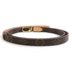 Louis Vuitton Dog Tall Monogram Dog Leash Pet Accessory — view 3