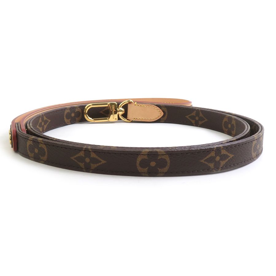 Louis Vuitton Dog Tall Monogram Dog Leash Pet Accessory — view 3