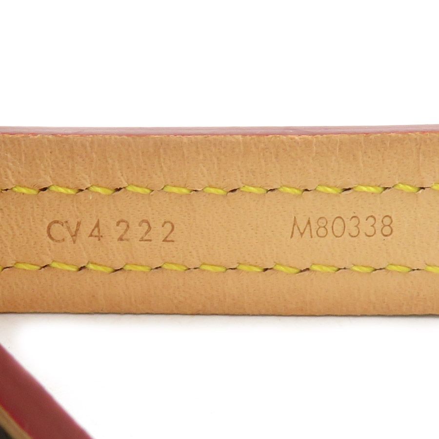 Louis Vuitton Dog Tall Monogram Dog Leash Pet Accessory — view 8