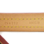 Louis Vuitton Dog Tall Monogram Dog Leash Pet Accessory — view 8