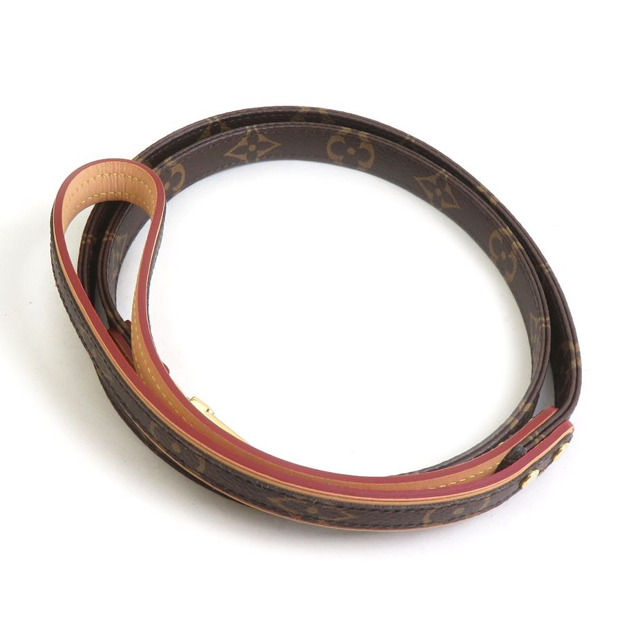 Louis Vuitton Dog Tall Monogram Dog Leash Pet Accessory — view 2