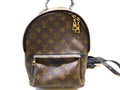 Louis Vuitton Palm Springs Backpack PM Monogram
