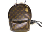 Louis Vuitton Palm Springs Backpack PM Monogram