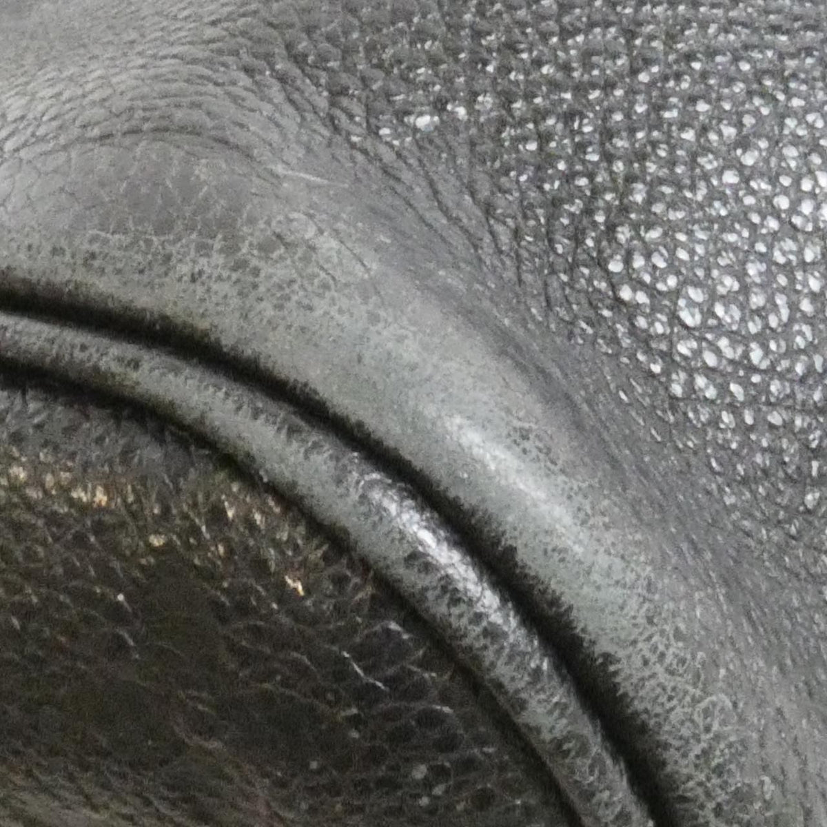 Louis Vuitton Monogram Empreinte Neverfull MM Bag — view 2