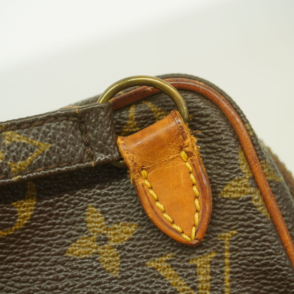 Louis Vuitton Shoulder Bag Monogram Mini Amazone Brown — view 6