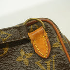 Louis Vuitton Shoulder Bag Monogram Mini Amazone Brown — view 6
