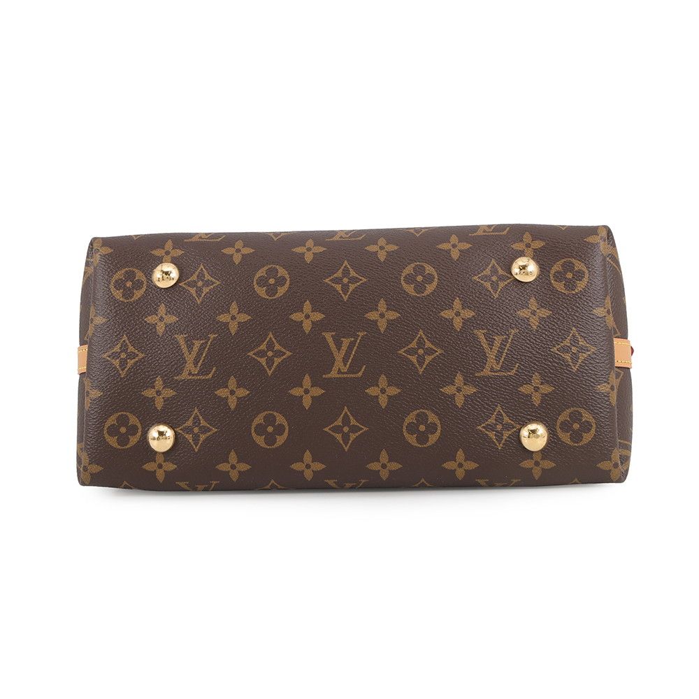 Louis Vuitton Shoulder Bag Monogram Carryall NM PM — view 3