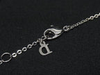 Dior Necklace Swing Logo Circle Silver Orange Metal Glitter — view 3