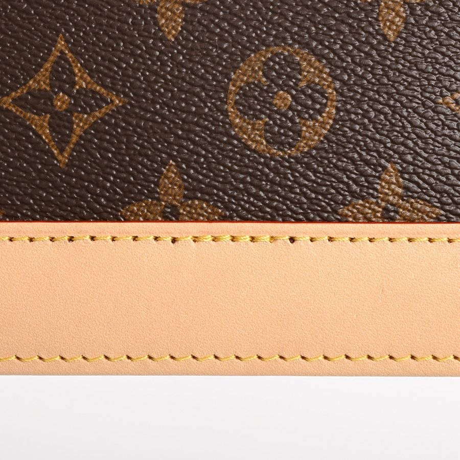 Louis Vuitton Handbag Alma PM — view 8