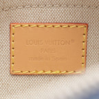 Louis Vuitton Shoulder Bag Trocadero Wearable Wallet Ocean Leather — view 4