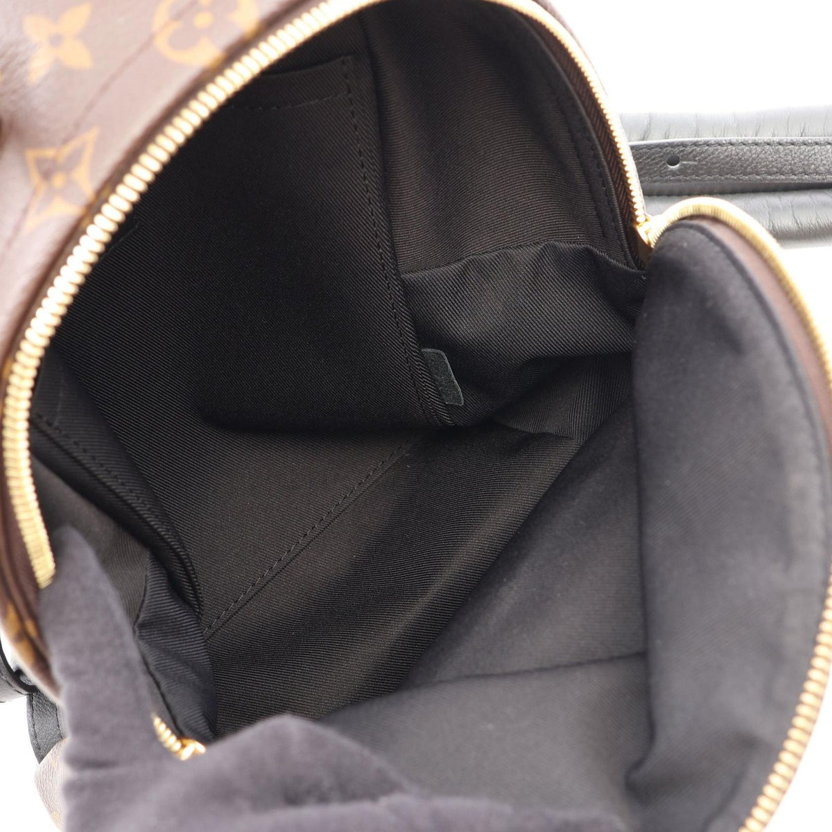 Louis Vuitton Backpack Palm Springs PM Leather — view 3
