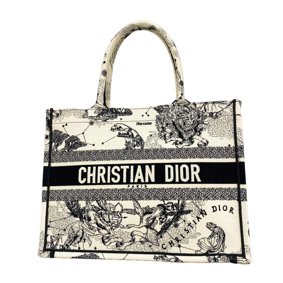 Dior Tote Bag Book Canvas Ivory Black