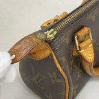 Louis Vuitton Handbag Monogram Mini Speedy Brown — view 8