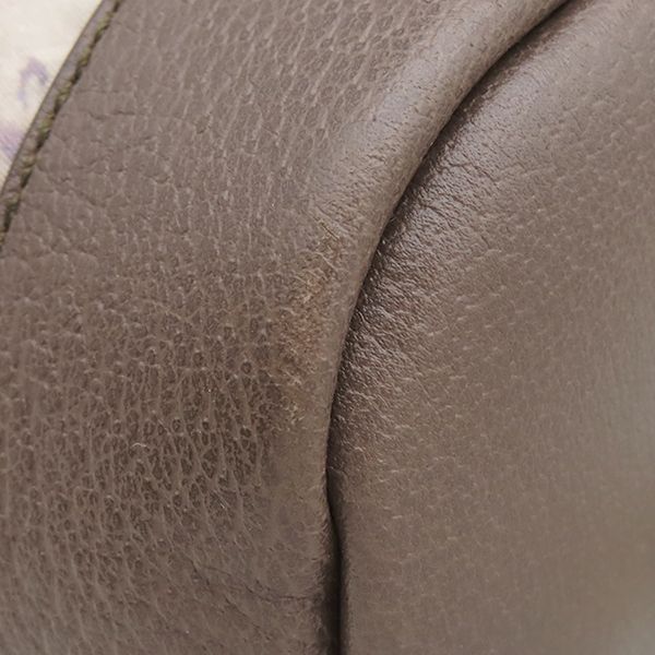 Gucci Backpack North Face Collaboration Nylon Leather Beige Multicolor Silver — view 4