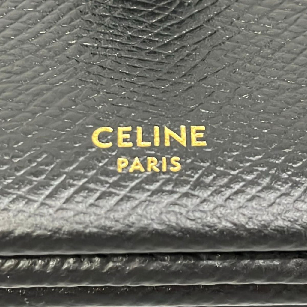 Celine Card Case Accordion Black — view 4