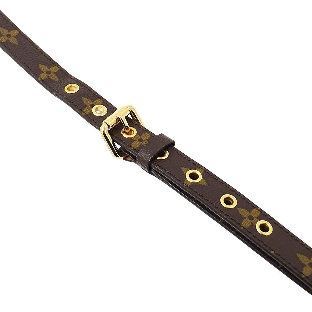 Louis Vuitton Shoulder Strap Monogram Brown Bag — view 4