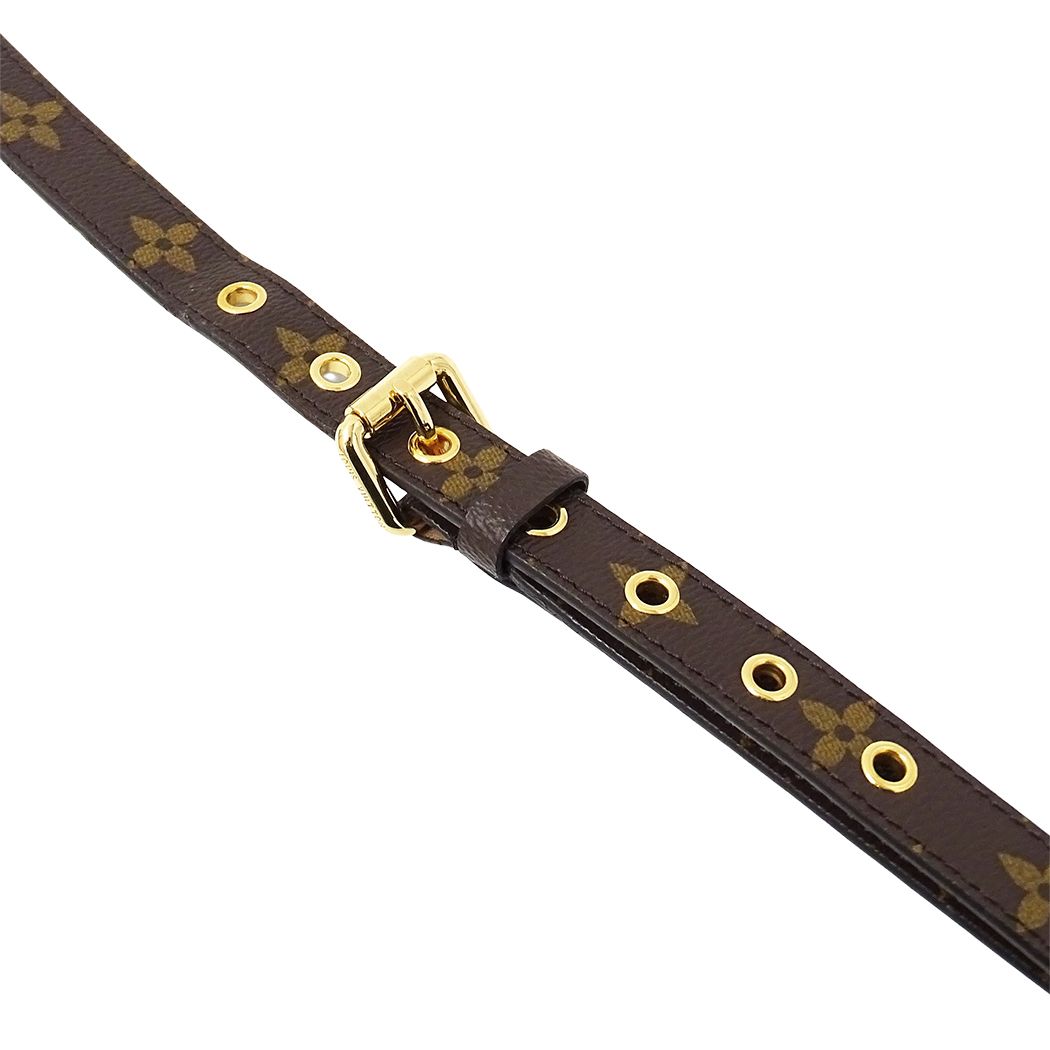 Louis Vuitton Shoulder Strap Monogram Brown Bag — view 4