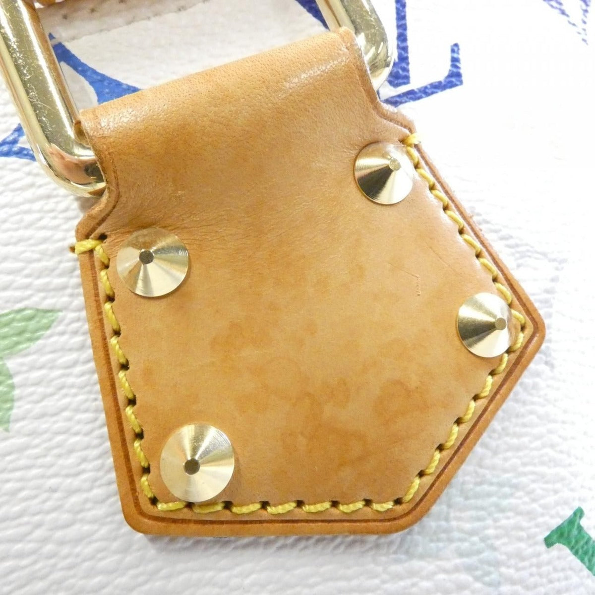 Louis Vuitton Multicolor Alma PM Bag — view 5