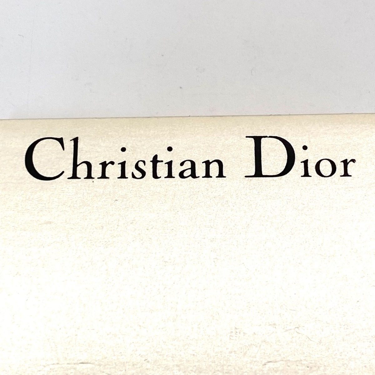 Dior Earrings Silver Logo Formal — view 8