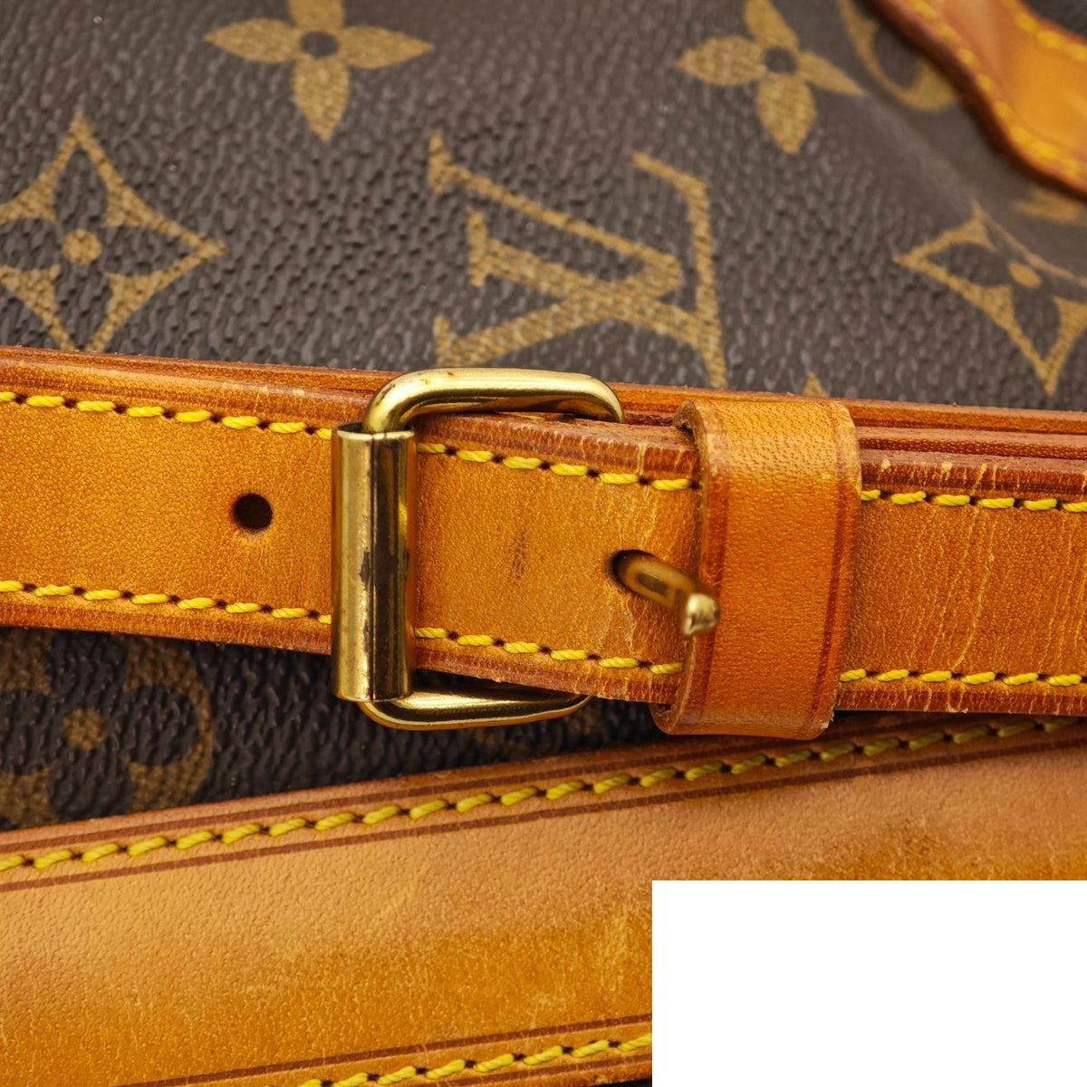 Louis Vuitton Romeo Gigli Shoulder Bag 100 Anniversary Limited Edition Brown — view 8