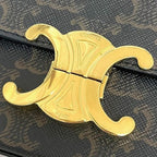 Celine Semishoulder Bag Claude Brown Triomphe — view 5