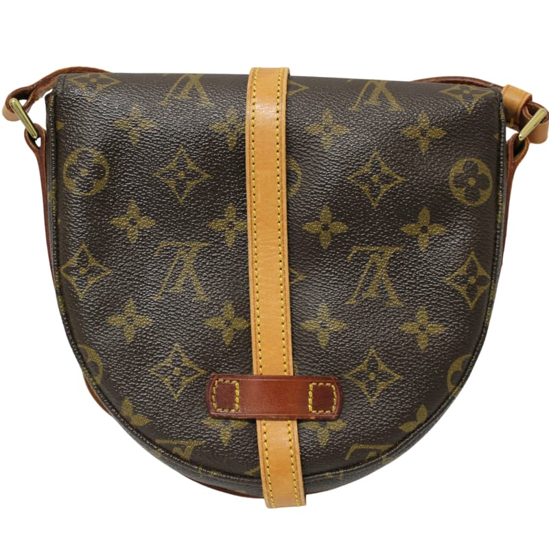 Louis Vuitton Chien Ti PM Shoulder Bag with Damage — view 4