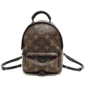 Louis Vuitton Rucksack Daypack