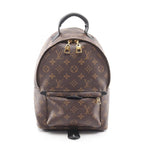 Louis Vuitton Backpack Palm Springs PM Canvas Leather PM