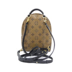 Louis Vuitton Monogram Reverse Palm Springs Backpack Mini Sac — view 2