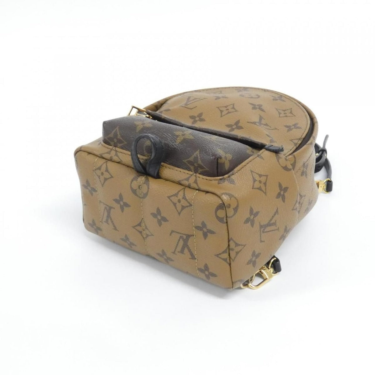 Louis Vuitton Monogram Reverse Palm Springs Backpack Mini Sac — view 3