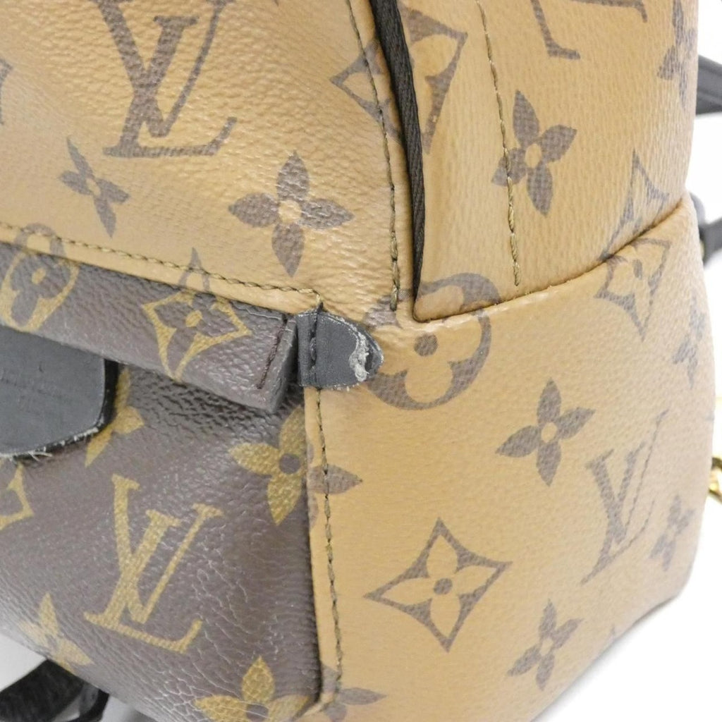 Louis Vuitton Monogram Reverse Palm Springs Backpack Mini Sac — view 5